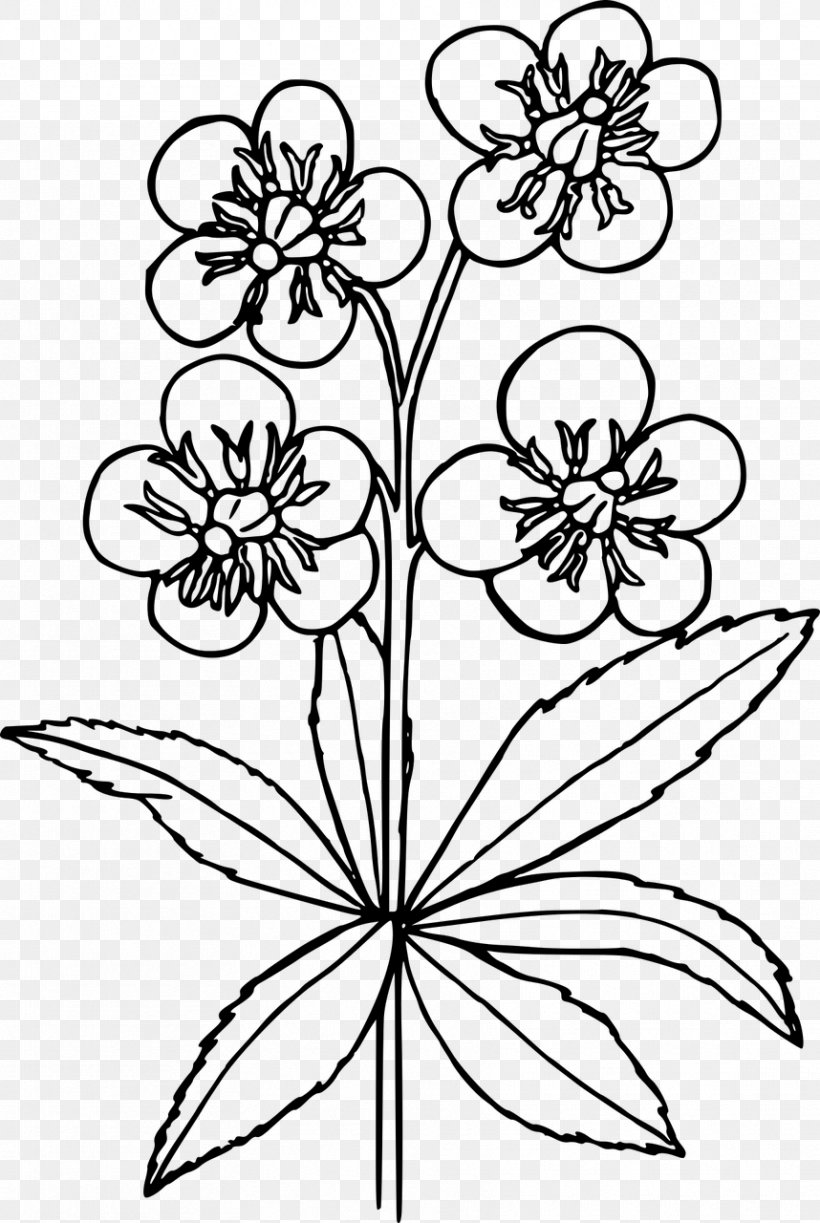 Wildflower Wall Decal Sticker Drawing, PNG, 858x1280px, Flower, Area, Art, Black And White, Child Download Free