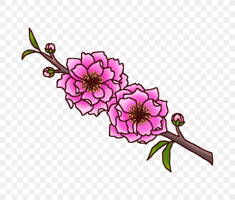 Floral Design, PNG, 700x700px, Floral Design, Cut Flowers, Family, Flower, Pink M Download Free