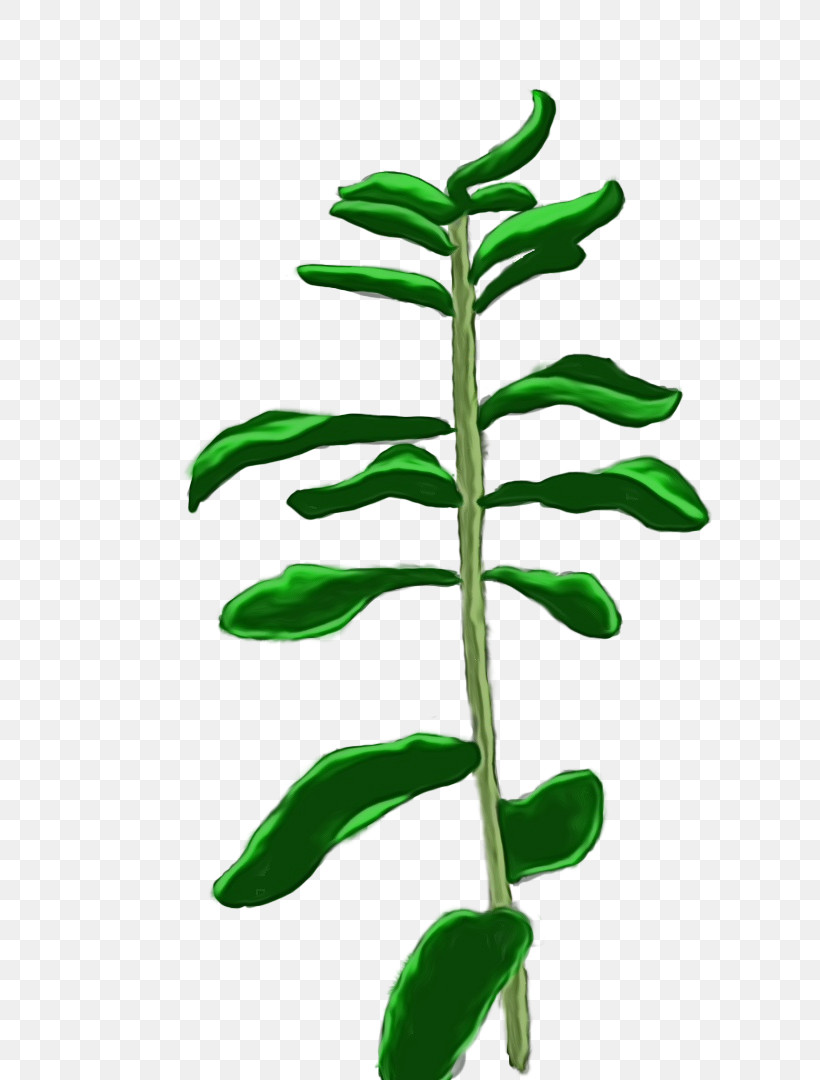 Leaf Plant Stem Tree Plant Science, PNG, 722x1080px, Watercolor, Biology, Leaf, Paint, Plant Download Free