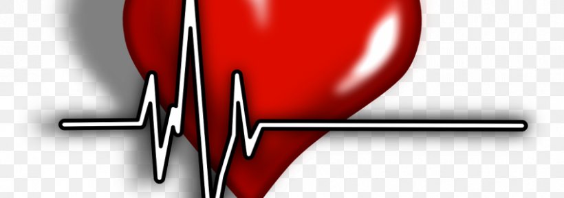 Pulse Cardiology Medicine Physician Heart, PNG, 850x300px, Watercolor, Cartoon, Flower, Frame, Heart Download Free