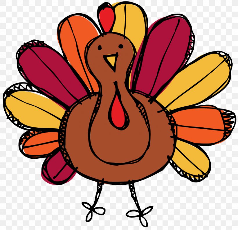 Turkey Meat Thanksgiving Drawing Clip Art, PNG, 873x845px, Turkey, Animation, Art, Artwork, Beak Download Free
