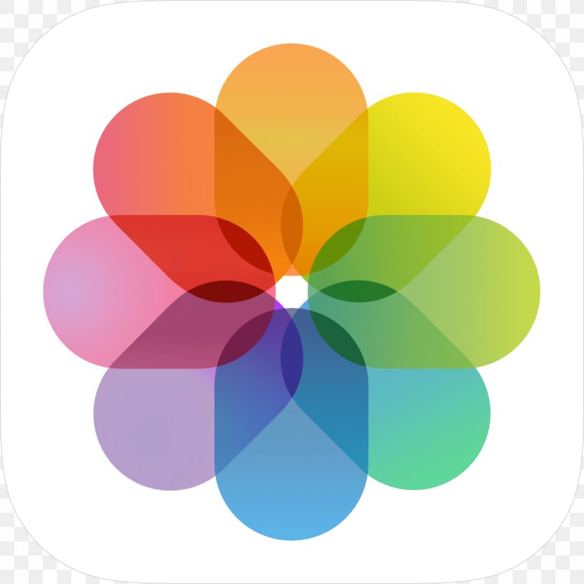 Apple Photos IOS 7, PNG, 1024x1024px, Apple Photos, App Store, Apple, Flower, Icloud Download Free