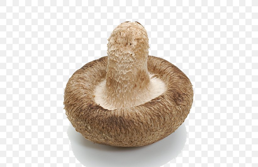 Edible Mushroom Shiitake Food, PNG, 800x532px, Mushroom, Cream Of Mushroom Soup, Edible Mushroom, Enokitake, Food Download Free