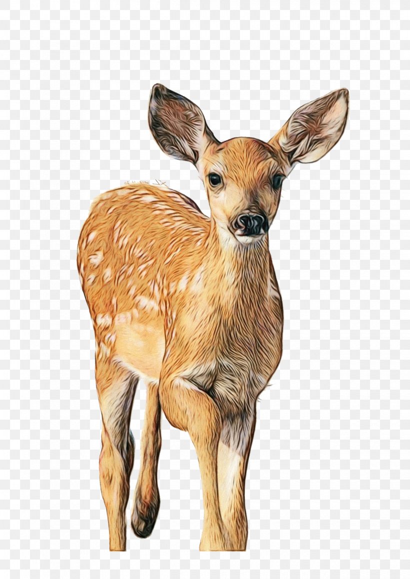 Watercolor Animal, PNG, 1240x1754px, Watercolor, Animal, Animal Figure, Antelope, Antler Download Free