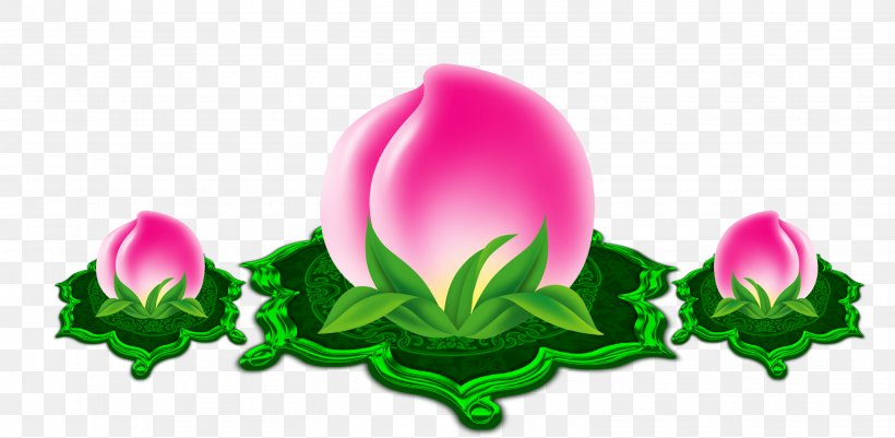 Yunnan Longevity Peach Falun Gong, PNG, 3038x1487px, Yunnan, Falun Gong, Flora, Flower, Flowering Plant Download Free