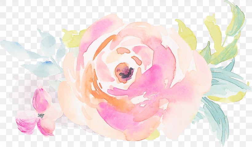 Black Pink Rose, PNG, 3263x1910px, Watercolor, Bag, Cut Flowers, Floribunda, Flower Download Free