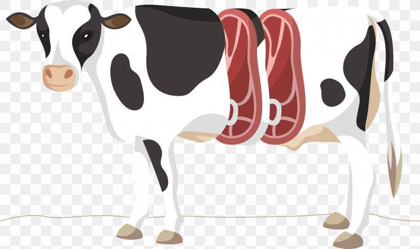 Dairy Cattle, PNG, 1812x1075px, Dairy Cattle, Beef, Bull, Cartoon, Cattle Download Free