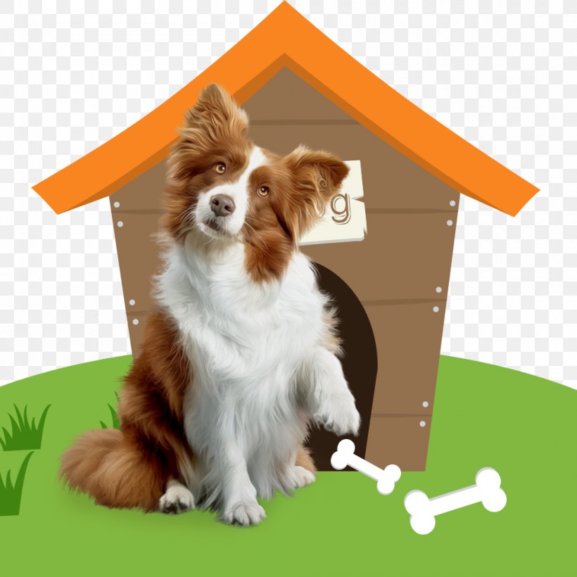 Dog Breed Cat Pet Companion Dog, PNG, 1000x1000px, Dog, Carnivoran, Cat, Companion Dog, Dog Breed Download Free