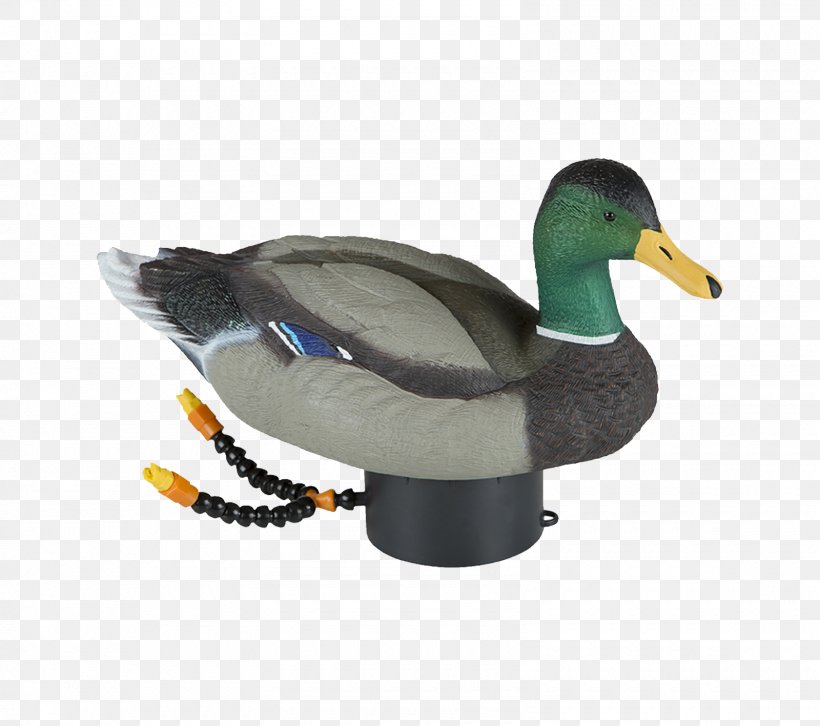 Duck Decoy Mallard Goose Duck Decoy, PNG, 1600x1417px, Duck, Beak, Bird, Bluewinged Teal, Canada Goose Download Free