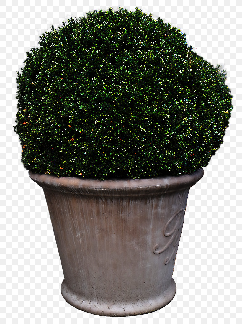 Flowerpot Grass Green Shrub Plant, PNG, 771x1099px, Flowerpot, Flower, Grass, Green, Hedge Download Free