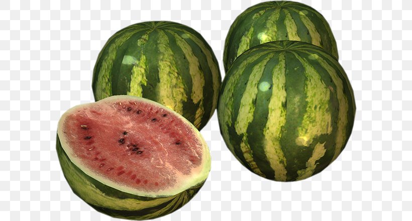 Watermelon Food Cucumis Winter Squash Eating, PNG, 600x440px, Watermelon, Citrullus, Cucumber Gourd And Melon Family, Cucumis, Eating Download Free