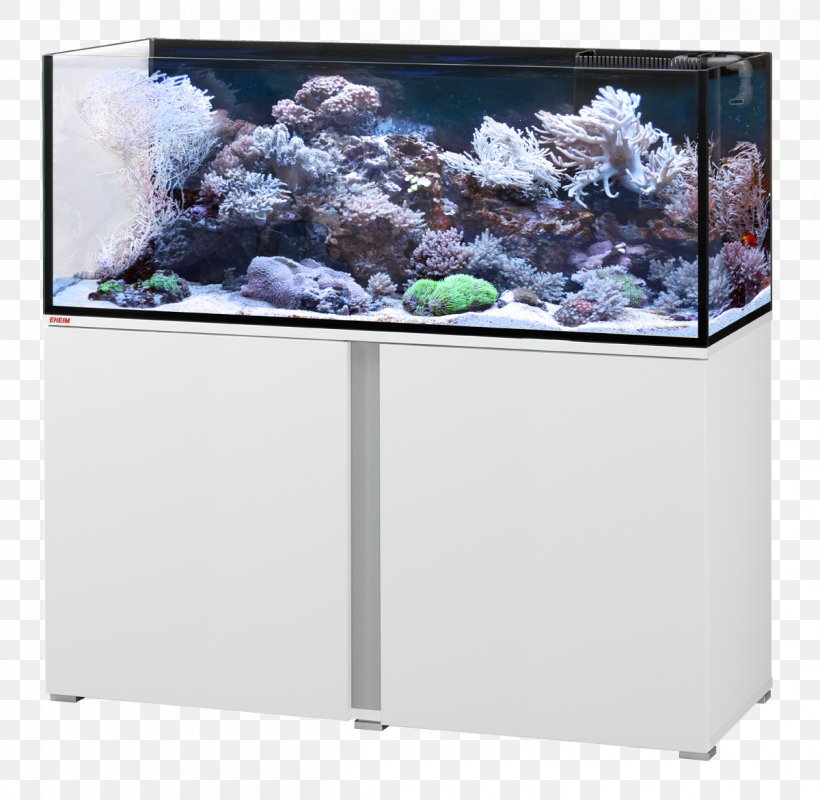 Aquarium Eheim Proxima 250 Reef White Fish, PNG, 1200x1172px, Aquarium, Akwarystyka Morska, Eheim, Fish, Plastic Download Free