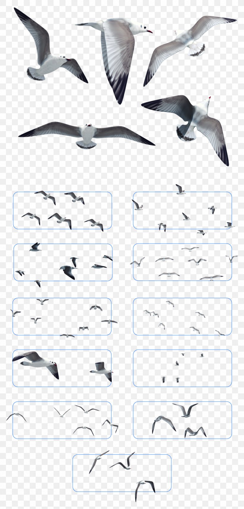 Bird Gulls Flight Flock, PNG, 960x2000px, Bird, Adobe After Effects, Animal, Beak, Black And White Download Free