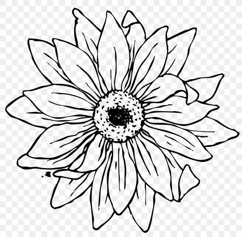 Clip Art Line Art Coloring Book Drawing Image, PNG, 1800x1758px, Line Art, African Daisy, Art, Aster, Black And White Download Free