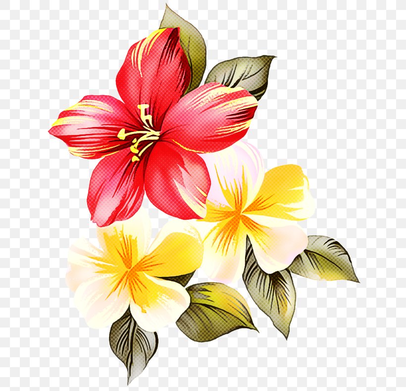 Flower Petal Plant Yellow Hawaiian Hibiscus, PNG, 650x788px, Flower, Frangipani, Hawaiian Hibiscus, Hibiscus, Lily Download Free