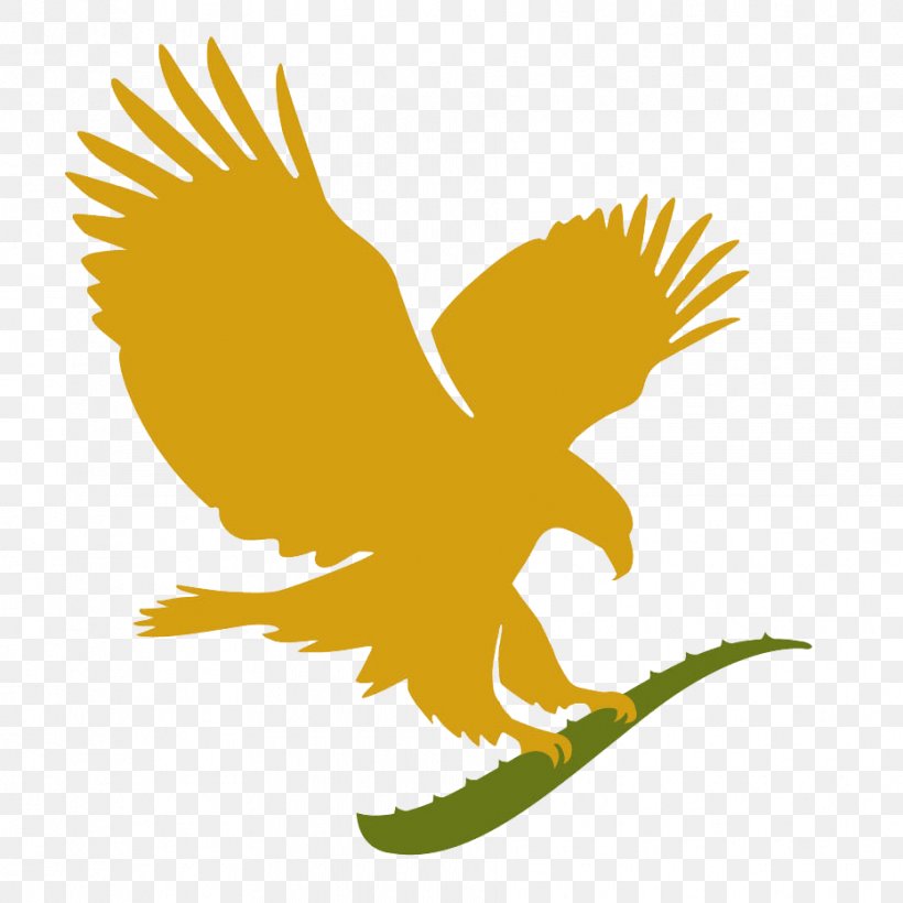 FOREVER LIVING PRODUCTS-Independent Distributor Cosmetics Forever Living Products Cameroon Health, PNG, 932x932px, Forever Living Products, Aloe Vera, Beak, Bird, Bird Of Prey Download Free