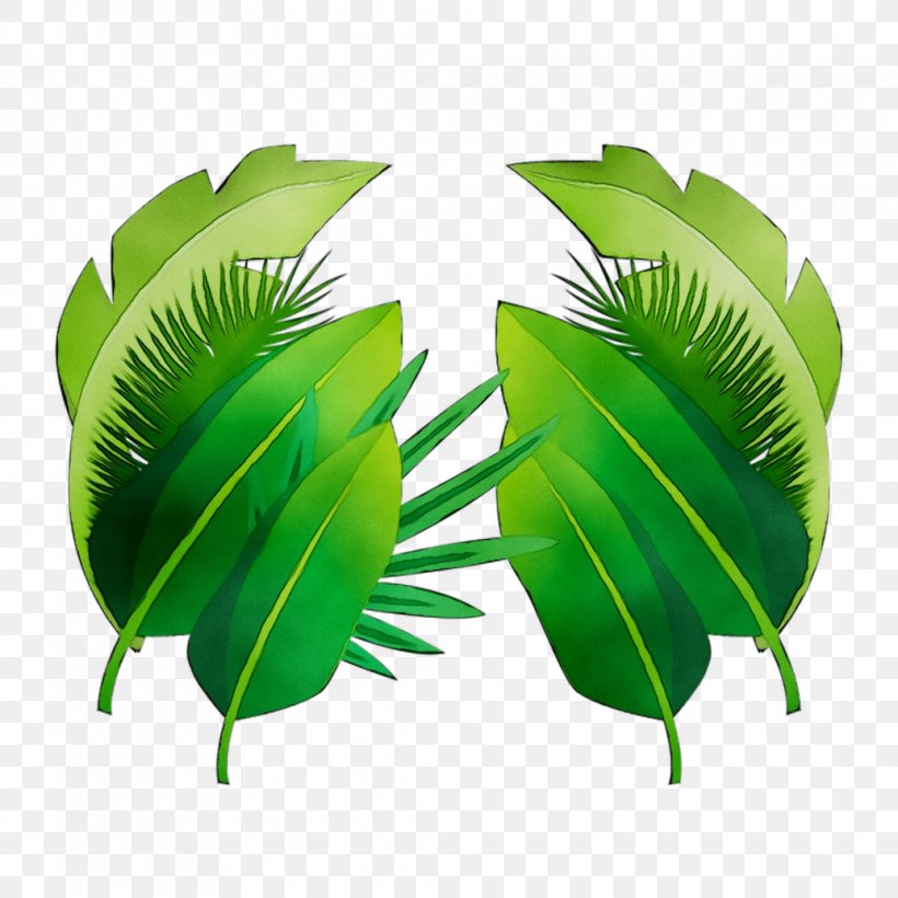 Clip Art Image Vector Graphics Leaf, PNG, 1035x1035px, Leaf, Arecales, Botany, Flower, Green Download Free