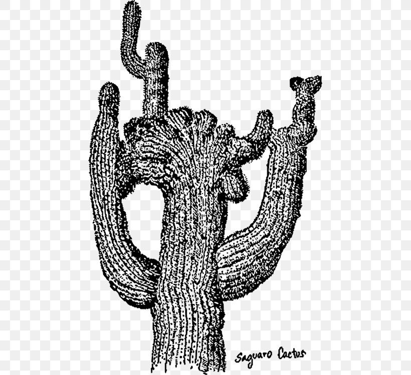 Saguaro National Park Cactus Drawing Vector Graphics, PNG, 467x749px, Saguaro National Park, Art, Cactus, Desert, Drawing Download Free