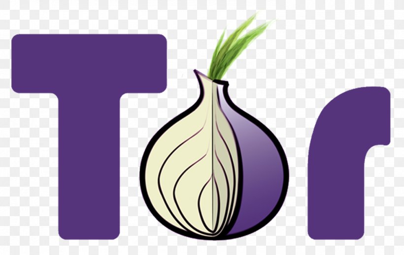 Tor .onion Onion Routing The Hidden Wiki Anonymity, PNG, 1484x941px, Tor, Anonymat Sur Internet, Anonymity, Computer Servers, Domain Name System Download Free