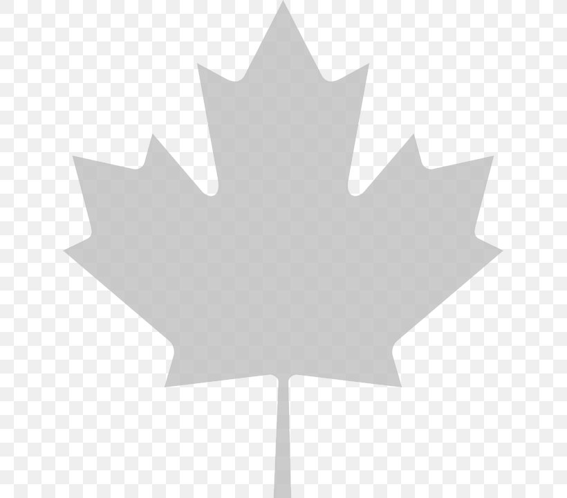Flag Of Canada Maple Leaf Clip Art, PNG, 637x720px, Canada, Black And White, Flag Of Canada, Flowering Plant, Leaf Download Free