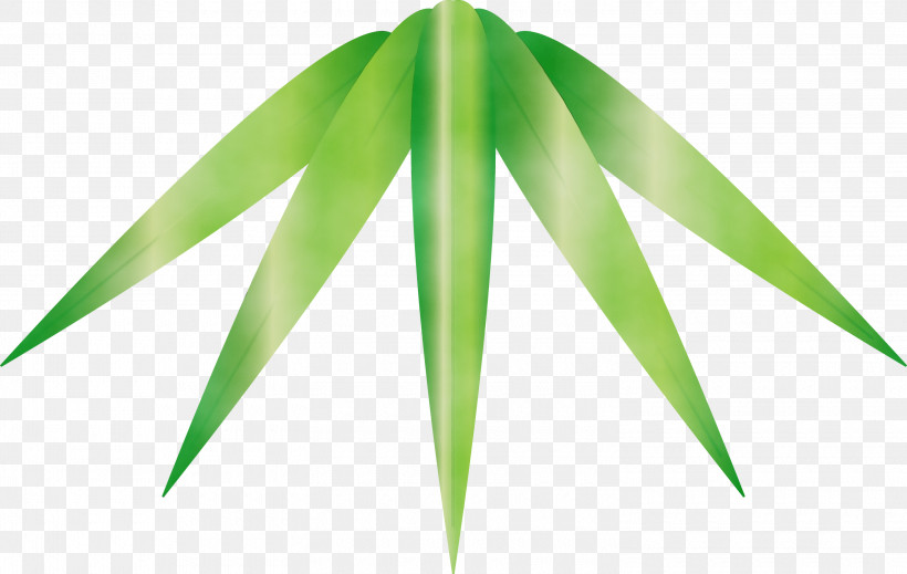 Leaf Green Plant Grass Tree, PNG, 3000x1902px, Bamboo, Flower, Grass, Green, Leaf Download Free