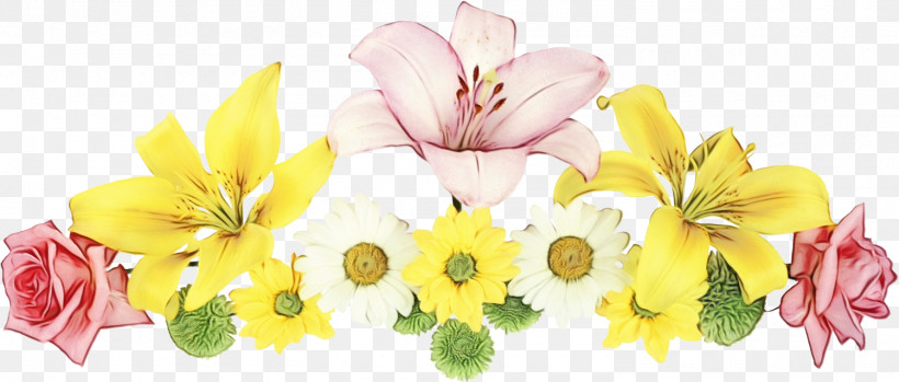 Petal Flower Yellow Plant Cut Flowers, PNG, 1500x640px, Flower Border, Cut Flowers, Floral Line, Flower, Flower Background Download Free