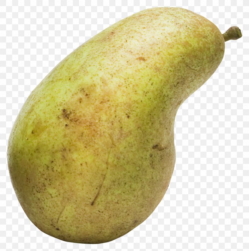 Pyrus Xd7 Bretschneideri Pyrus Nivalis, PNG, 1096x1106px, Pyrus Xd7 Bretschneideri, Food, Fruit, Google Images, Pear Download Free