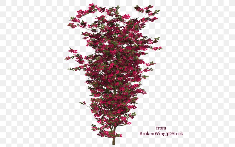 Bougainvillea Shrub Plant Tree Branch, PNG, 512x512px, Bougainvillea, Art, Bougainville Island, Branch, Drawing Download Free