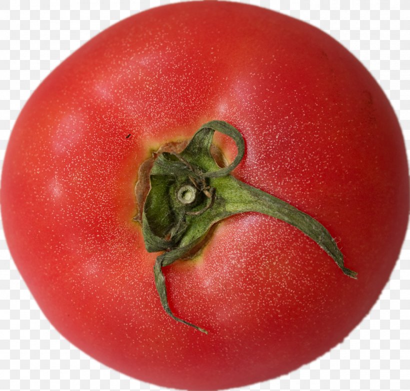 Cherry Tomato Vegetable Fruit, PNG, 1396x1334px, Cherry Tomato, Auglis, Bush Tomato, Food, Fruit Download Free