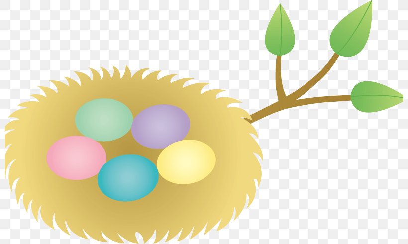Clip Art Openclipart Free Content Image, PNG, 800x491px, Bird Nest, Drawing, Egg, Nest, Royaltyfree Download Free
