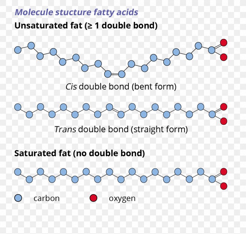 Fatty Acid Unsaturated Fat Saturated And Unsaturated Compounds Chemistry, PNG, 1085x1035px, Fatty Acid, Acid, Acylcoa, Area, Beta Oxidation Download Free