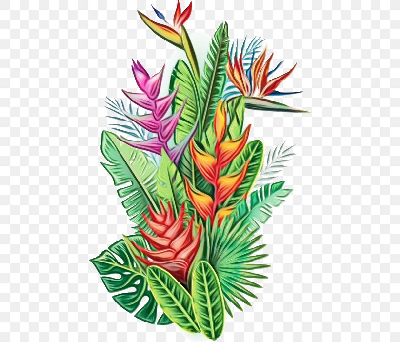 Flower Plant Leaf Heliconia Flowering Plant, PNG, 487x701px, Watercolor, Anthurium, Arrowroot Family, Flower, Flowering Plant Download Free