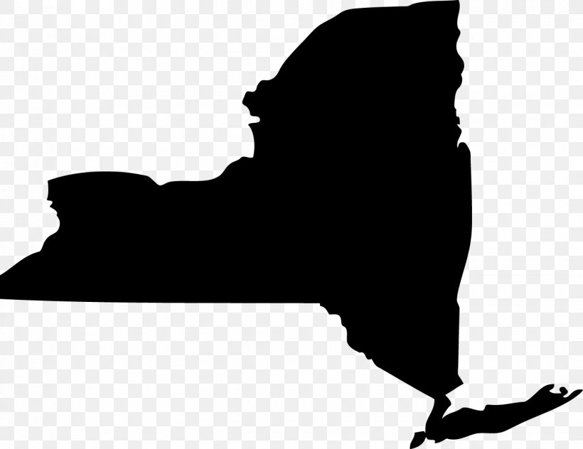 New York City U.S. State Organization Service Of Process New York State Senate, PNG, 1350x1041px, New York City, Black, Black And White, Hand, Information Download Free