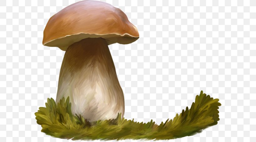 Oyster Mushroom Watercolor Painting Penny Bun, PNG, 600x456px, Oyster Mushroom, Animal, Cartoon, Edible Mushroom, Green Download Free