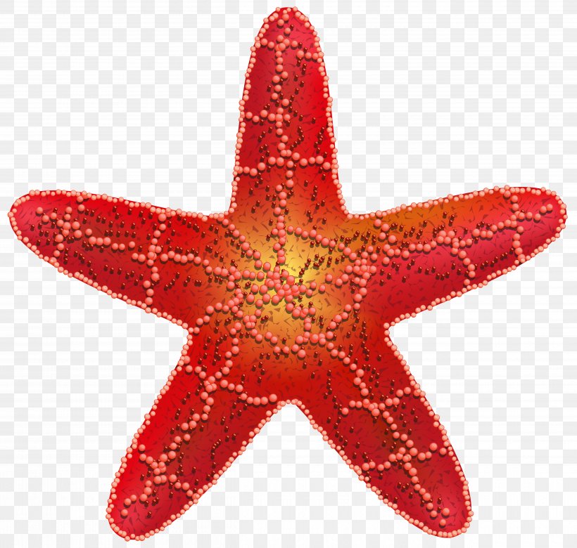Starfish Clip Art, PNG, 5000x4757px, Starfish, Animal, Brittle Star, Color, Echinoderm Download Free