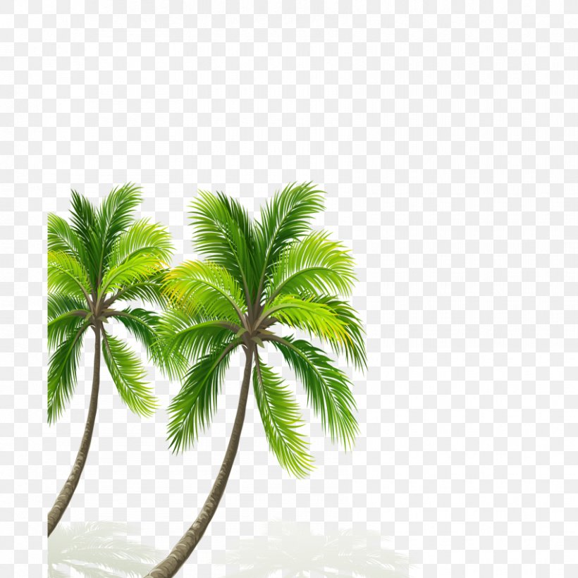 China Mural Coconut Wall Wallpaper, PNG, 850x850px, 3d Film, China, Beach, Branch, Coconut Download Free