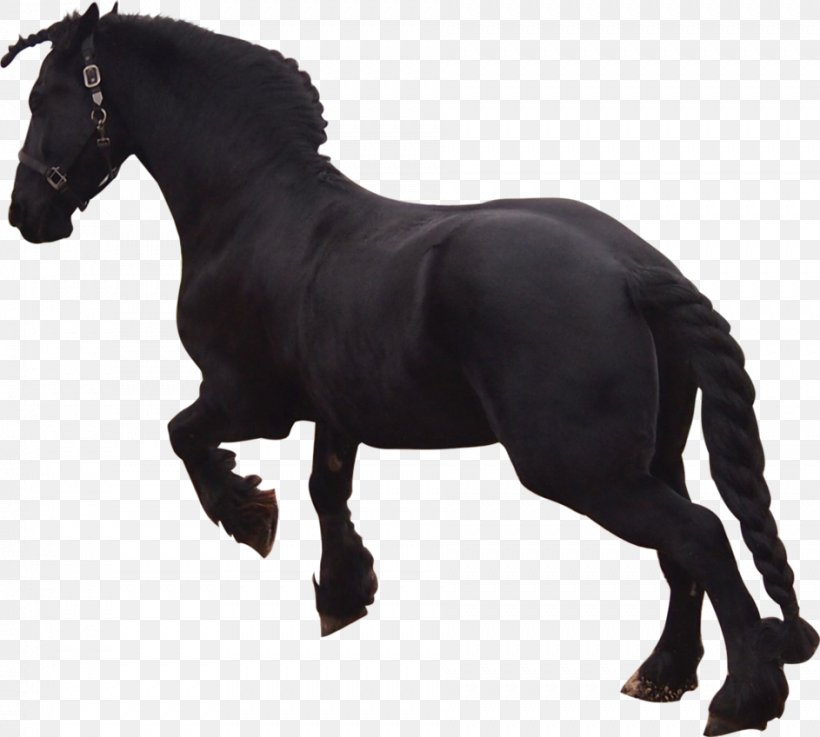 Friesian Horse Stallion Mustang Pony Black, PNG, 943x848px, Friesian Horse, Animal, Animal Figure, Black, Deviantart Download Free