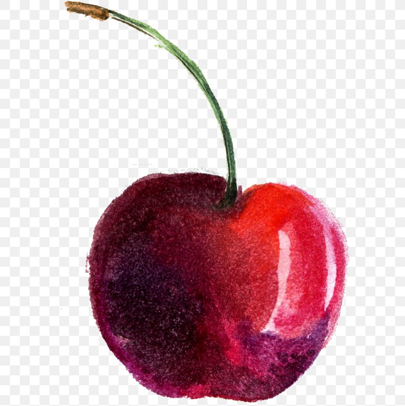 Watercolor Painting Cherry, PNG, 598x822px, Watercolor Painting, Apple, Auglis, Cartoon, Cherry Download Free