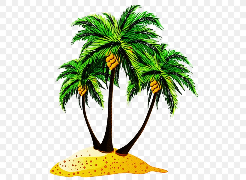 Coconut Tree Drawing, PNG, 523x600px, Palm Trees, Arecales, Attalea Speciosa, Beach, Cartoon Download Free