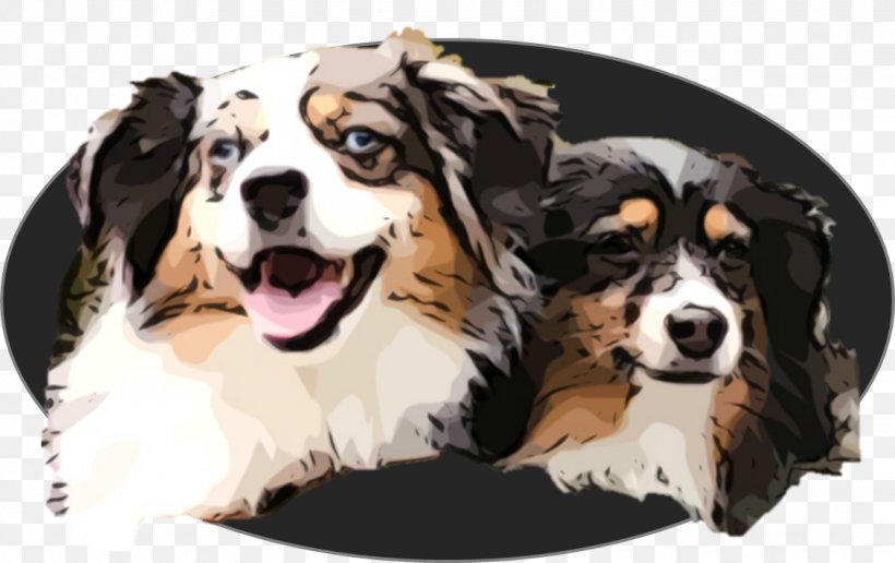 Dog Breed Bernese Mountain Dog Companion Dog Snout, PNG, 1129x711px, Dog Breed, Bernese Mountain Dog, Breed, Carnivoran, Companion Dog Download Free