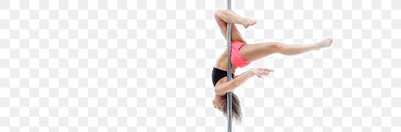 Physical Fitness Exercise, PNG, 1300x430px, Physical Fitness, Entertainment, Event, Exercise, Joint Download Free