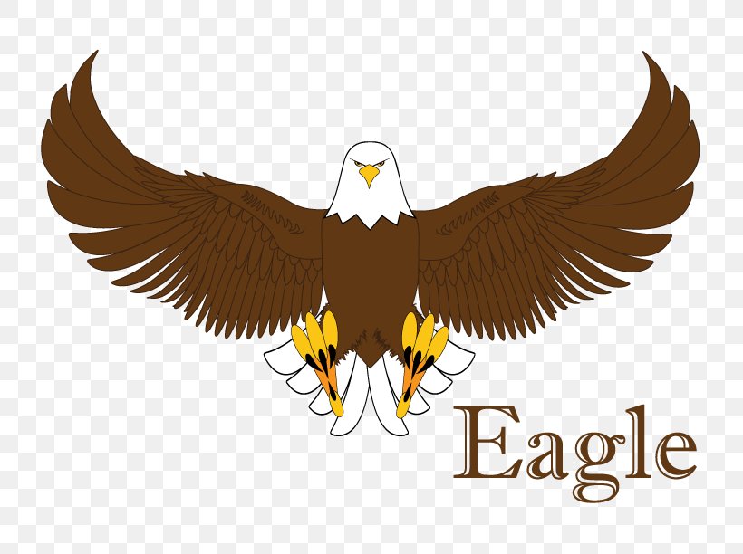 Bald Eagle Statue Of Liberty Logo Beak, PNG, 792x612px, Bald Eagle, Accipitriformes, Admiral Group, Beak, Bird Download Free