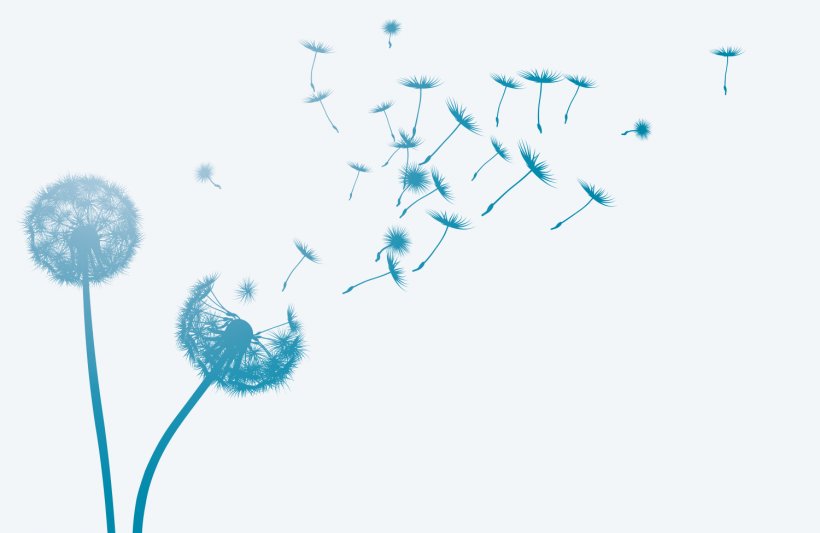 Common Dandelion Wind Seed, PNG, 1500x975px, Common Dandelion, Blue, Dandelion, Flower, Organism Download Free