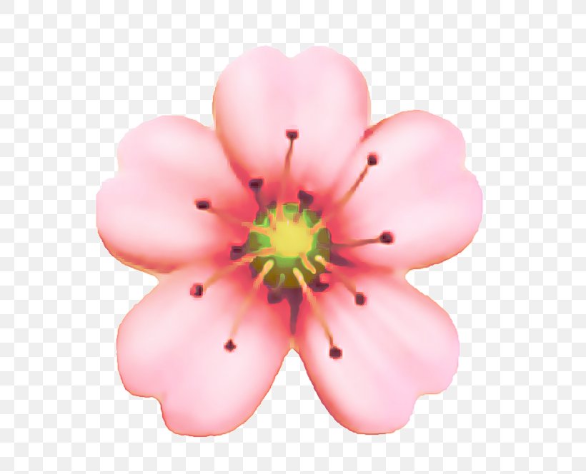 Cherry Blossom Cartoon, PNG, 720x664px, Cherry Blossom, Blossom, Cherries, Flower, Garland Download Free