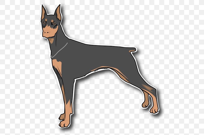 Dobermann Miniature Pinscher Great Dane Clip Art, PNG, 519x546px, Dobermann, Ancient Dog Breeds, Black And Tan Terrier, Carnivoran, Dog Download Free