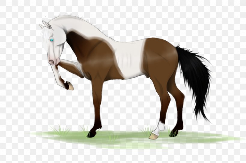 Mane Mustang Stallion Rein Mare, PNG, 1095x730px, Mane, Bridle, Dog Harness, Halter, Horse Download Free