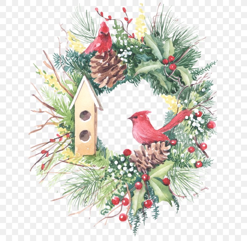 Wreath Christmas Ornament Watercolor Painting, PNG, 668x800px, Wreath, Bird, Bird Nest, Branch, Cardinal Download Free