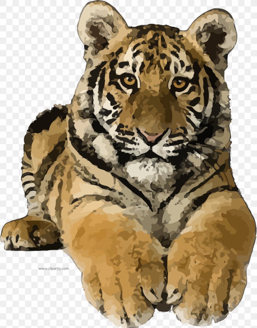 Clip Art Felidae Lion Bengal Tiger, PNG, 1007x1286px, Felidae, Adaptation, Animal Figure, Bengal Tiger, Big Cats Download Free