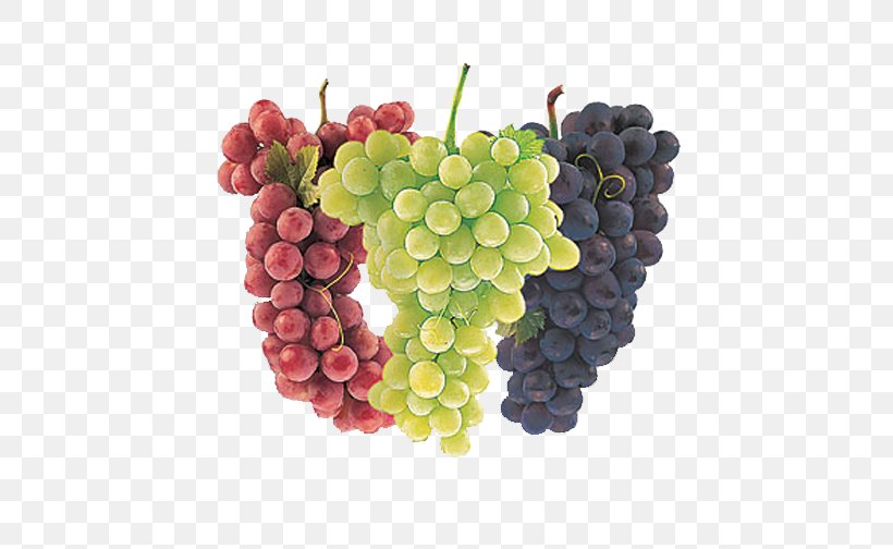 Common Grape Vine Wine Juice Cultivar, PNG, 648x504px, Common Grape Vine, Berry, Cultivar, Food, Fruit Download Free