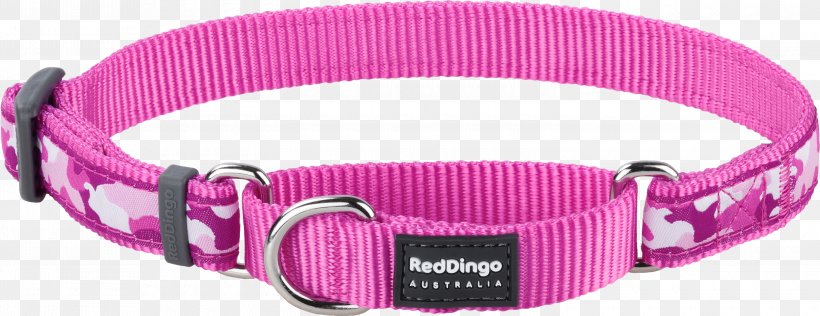 Dog Collar Dingo Martingale, PNG, 3000x1159px, Dog, Buckle, Clothing Accessories, Collar, Dingo Download Free